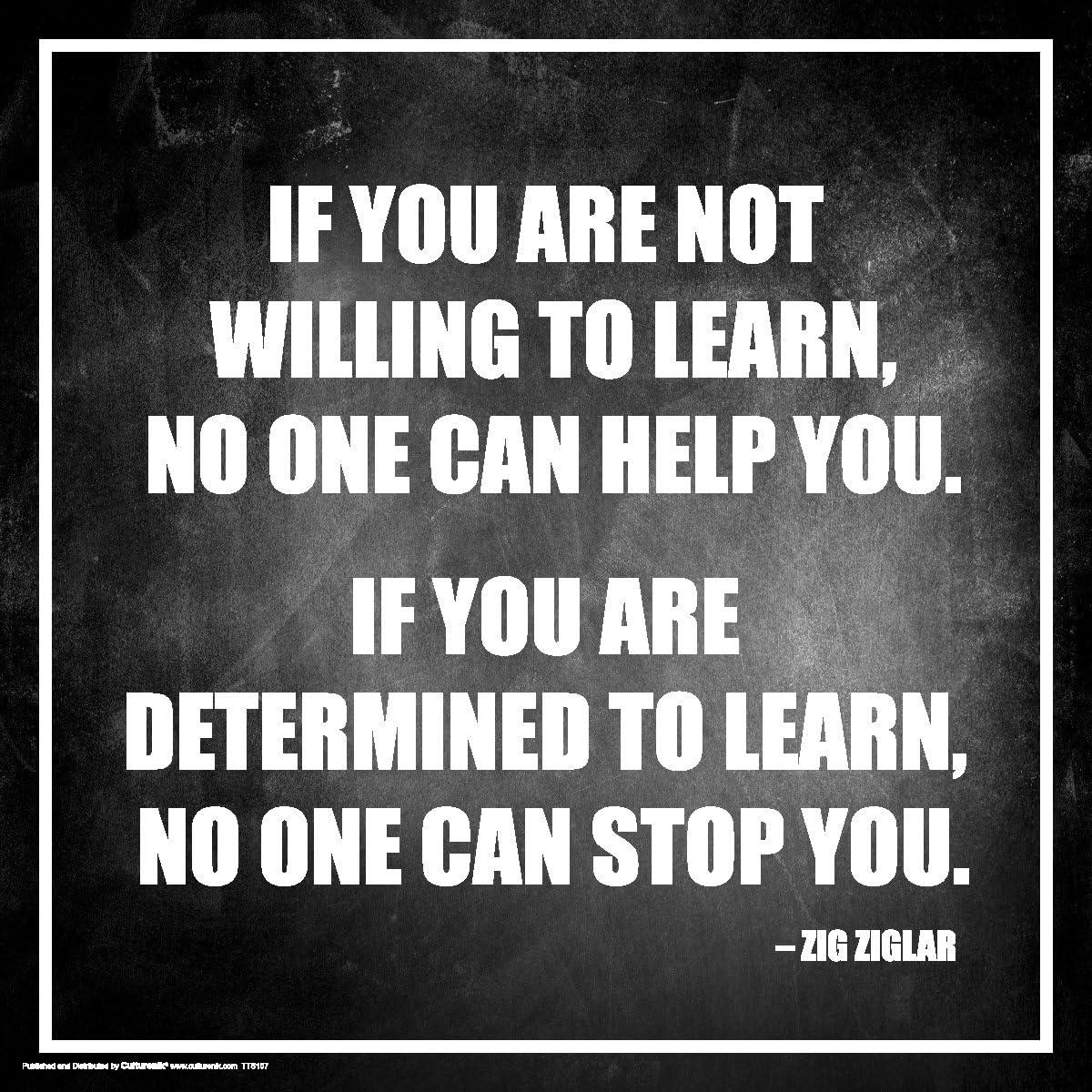 Determined to Learn vs. Unframed 12x12: Culturenik's Classroom Poster Tested for Impact