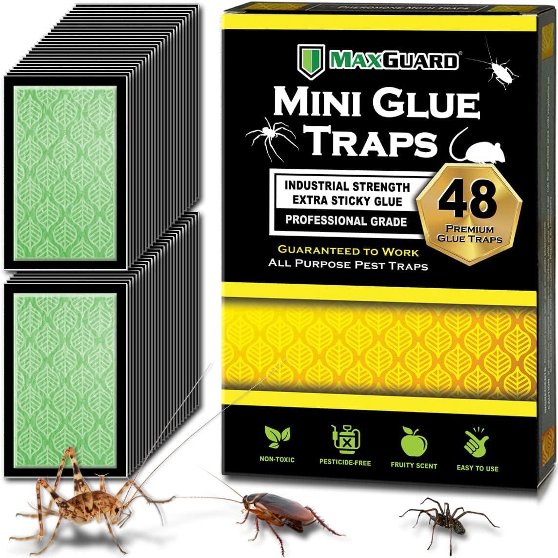 Pest Control Showdown: Non-Toxic Glue Traps vs. Silent Zappers