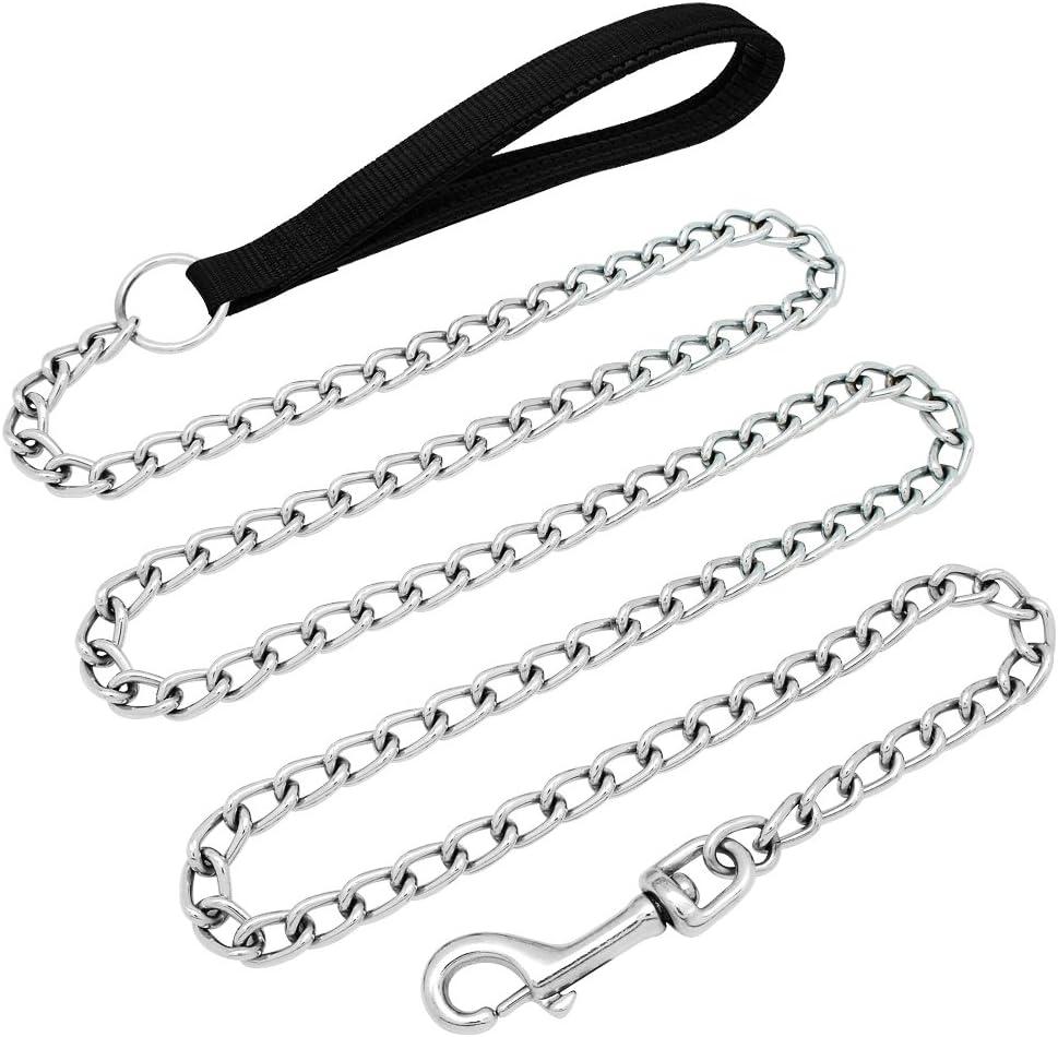 Beirui Chain Leash Tested: 6-Foot Versus Soft Handle for Large Dogs?