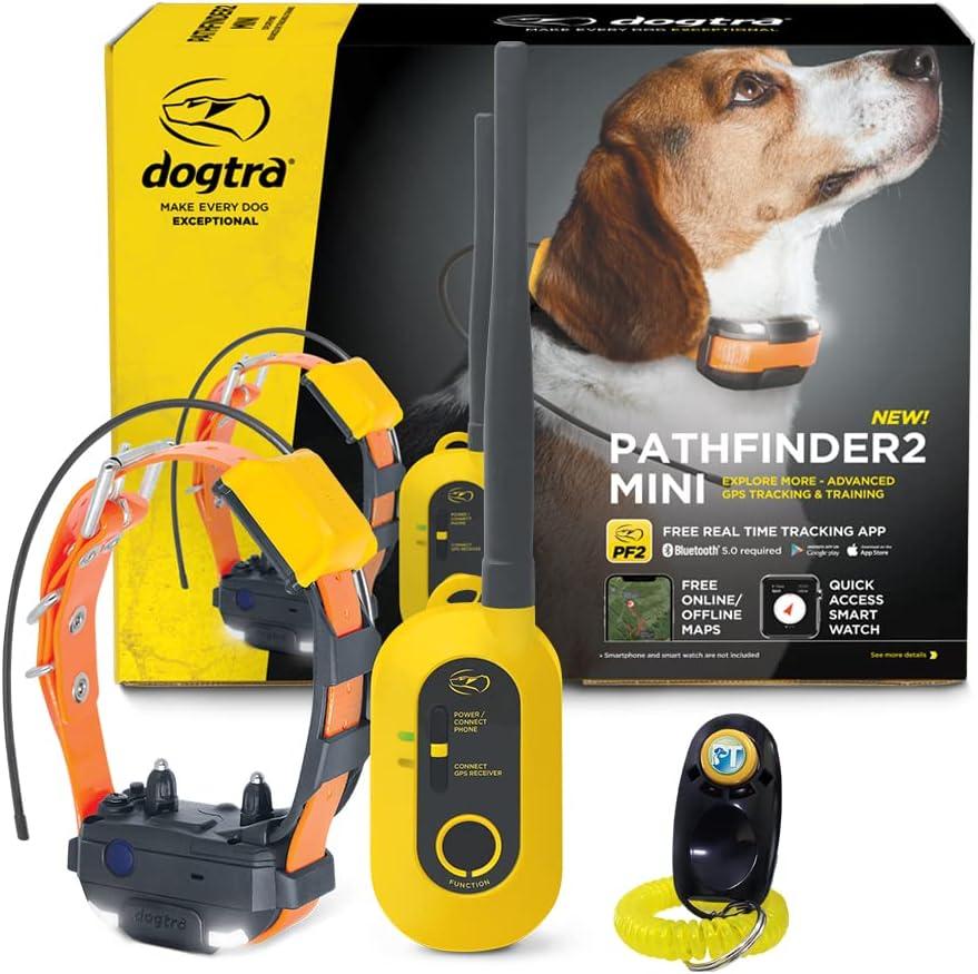 Dog Training Showdown: Translator, GPS, Free Game - Tested for Modern Needs
