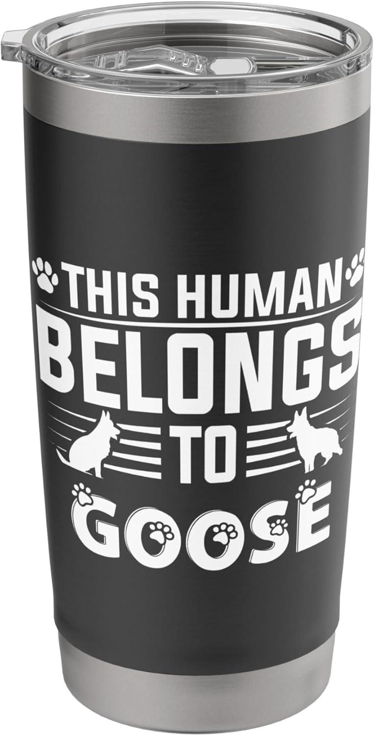 Versus Pet Acc: Tested Collars & Tumblers for Personalized, Stylish Living