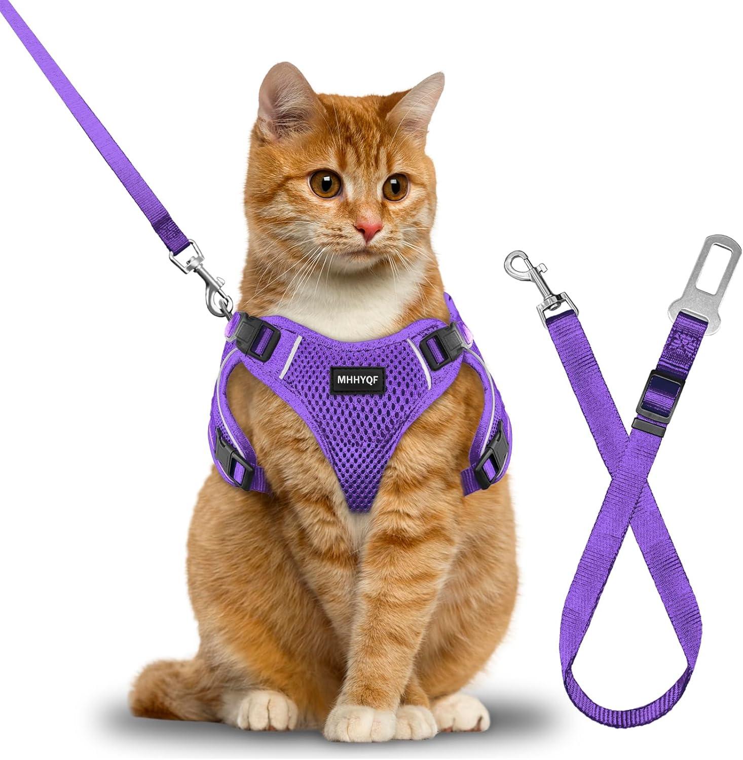 Showdown: Tested Cat Harnesses Keep Kitten Safe Outdoors ✨