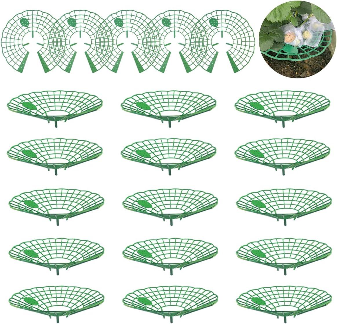 Strawberry Plant Supports Tested: Rot-Proof Growth for Wet Seasons