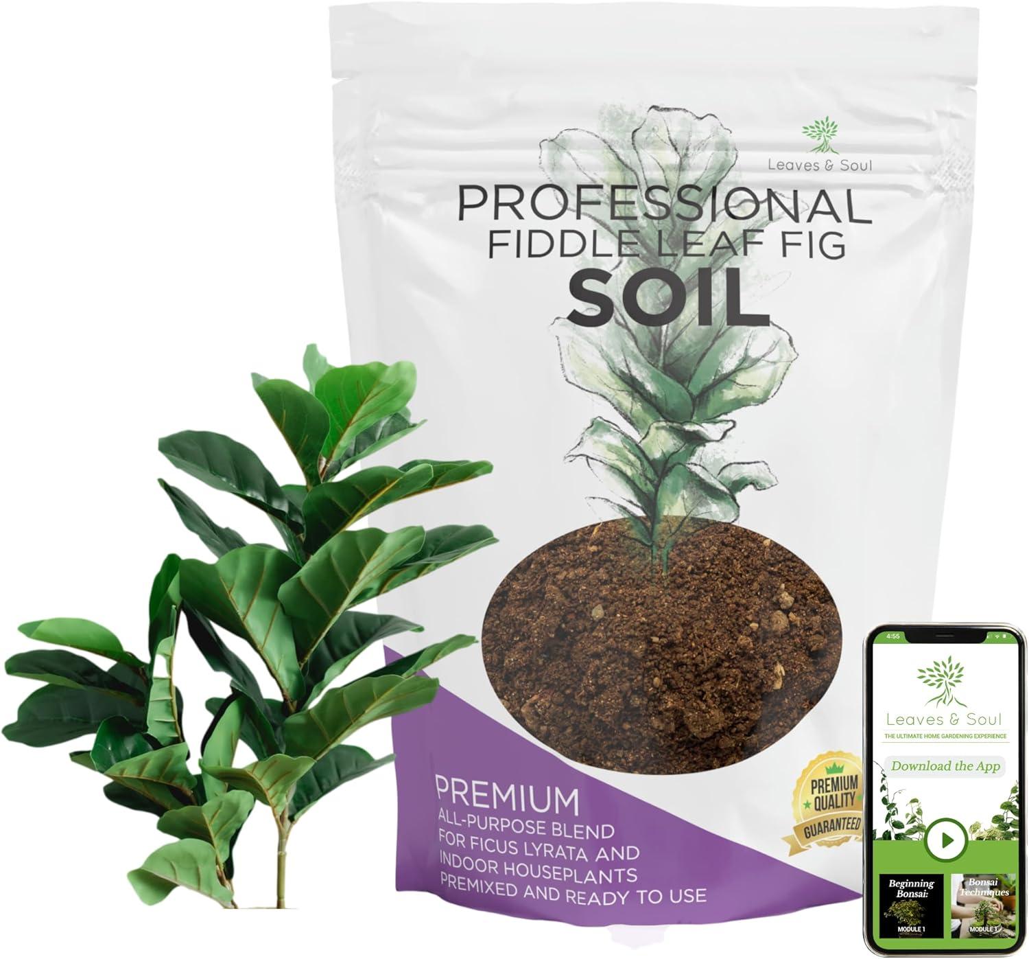 Premium Fiddle Leaf Fig Soil Tested: Ready to Use, Peat & Pinebark (USA-Made)