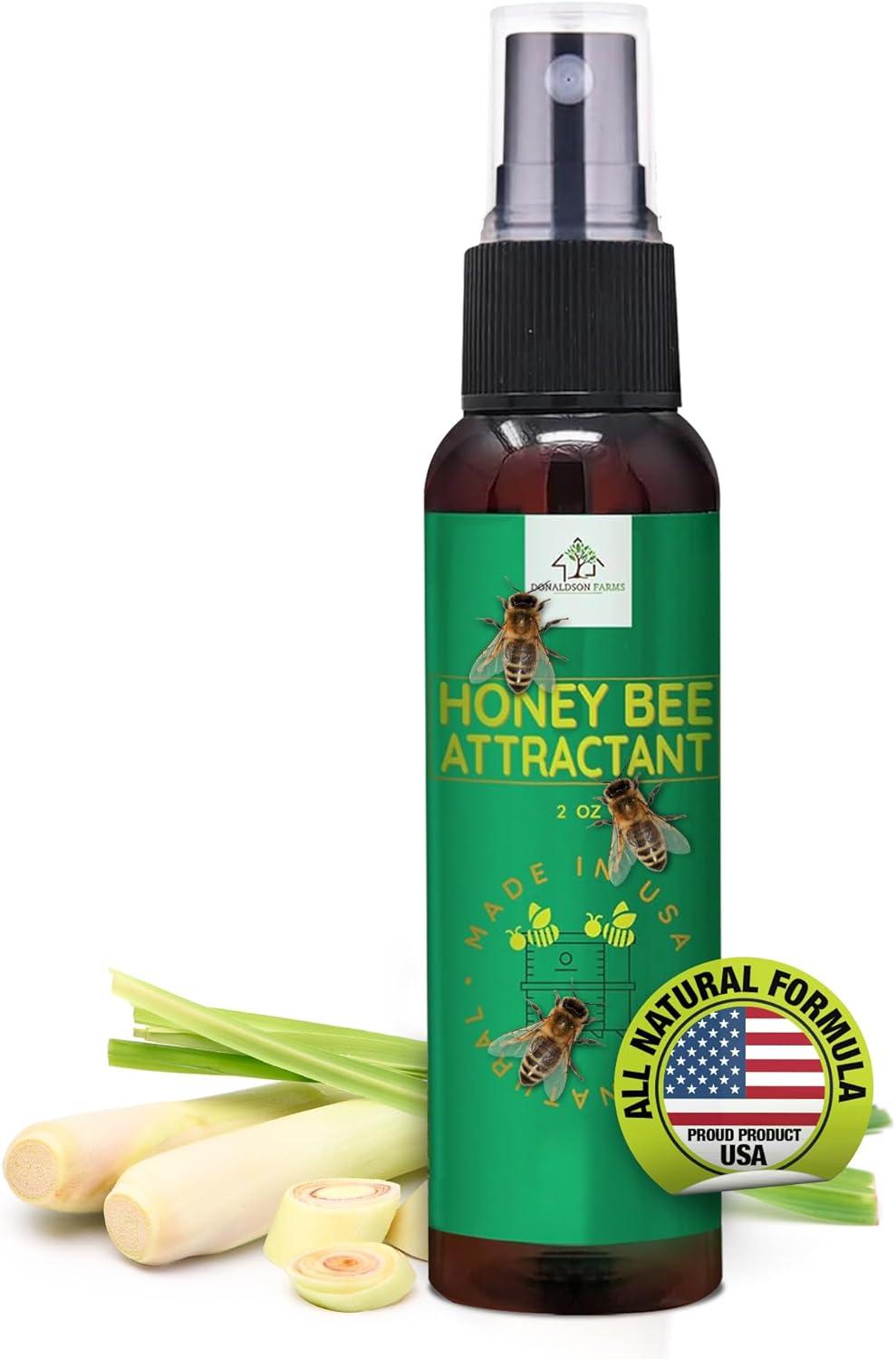 Alpha vs. Beta: Bee Battleground... Tested