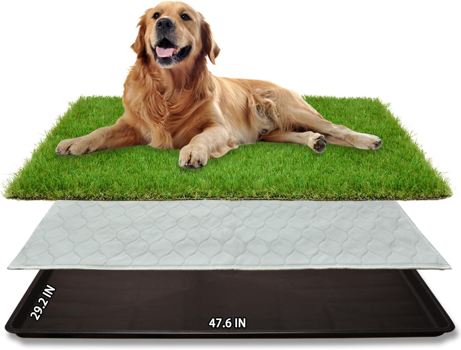 Grass Potty Versus Playpen: Tested Benefits... vs. Buying Considerations