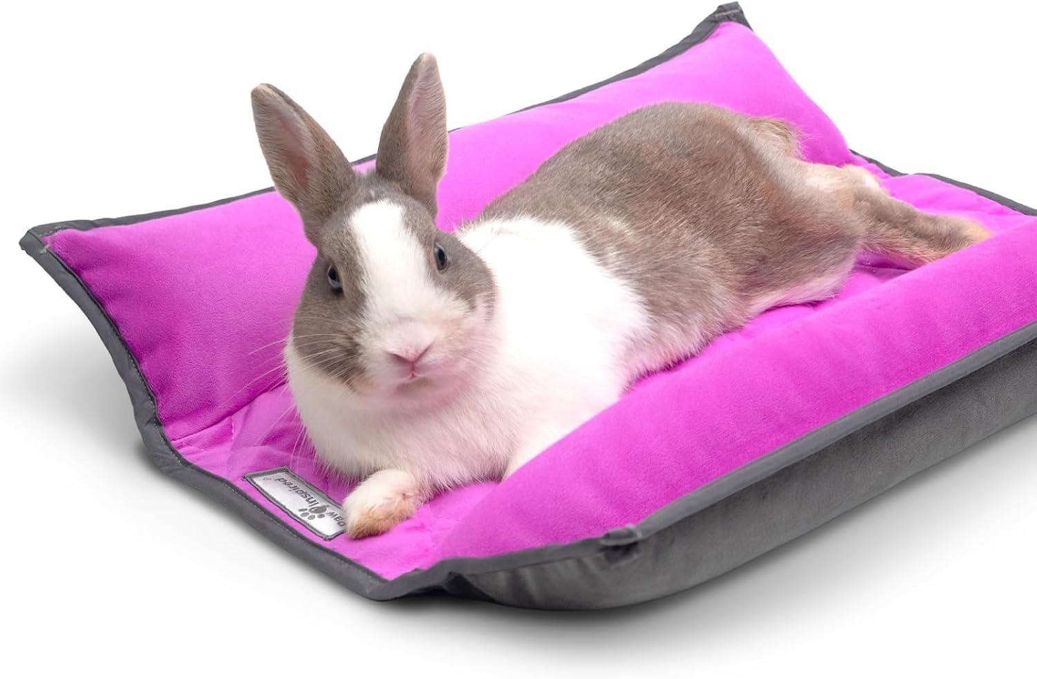 Paw-Inspired Bed Showdown: Tested Fleece, Versatile Use Case… Tiny Pets Love It!