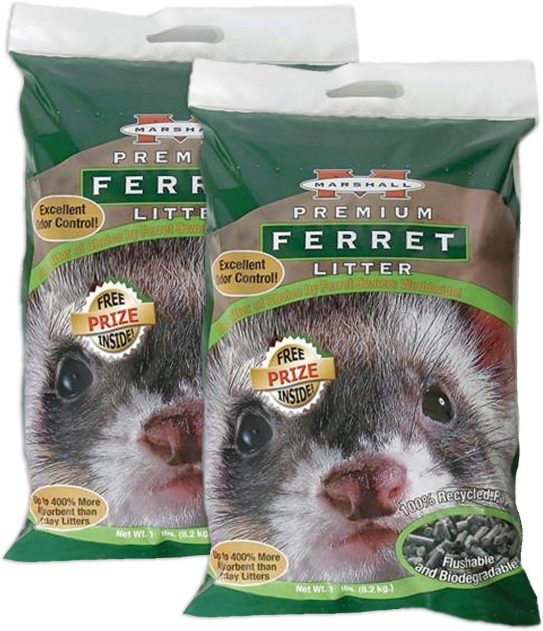 Best Ferret Litter: Unexpected clumping, natural odor... Showdown tested!