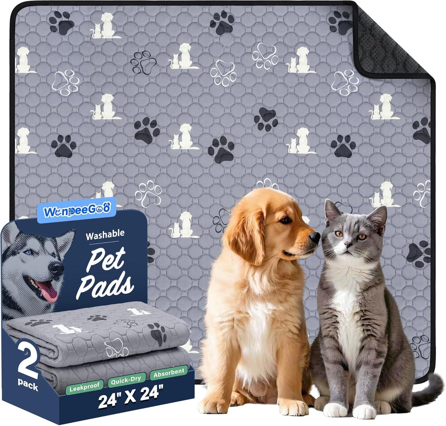 Tested: Pet Pad vs Disposables