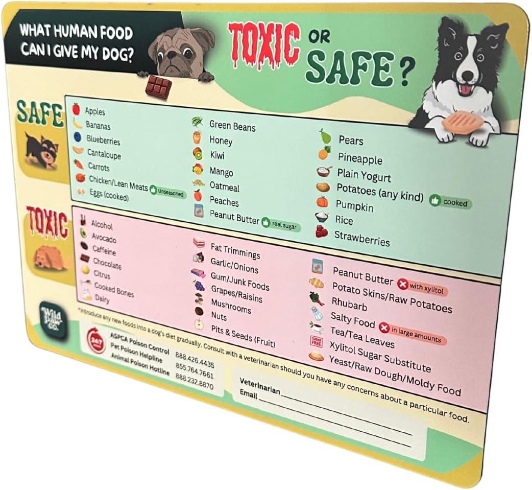 List vs. Magnetic Chart: Surprising Dog Food Safety Insights for Today's Pet Parents