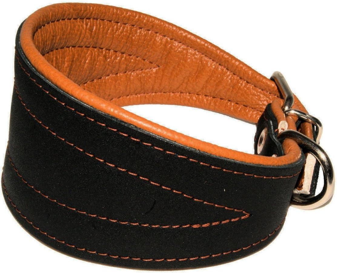 Pet Furniture Showdown: Tassels, Opinion Books, and Glossy Black Collars