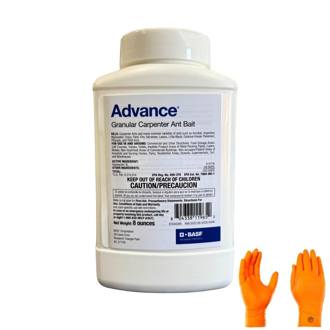 Ant Control Showdown: Terro vs Max Force vs Advance - Faster, Safer, Surprising Results?
