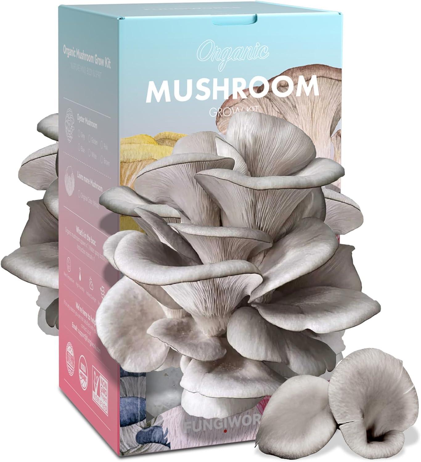 Oyster Mushroom Showdown: 4lbs Yield, Double-Side, Made in USA - Harvest in 10 Days for Holiday Gardening
