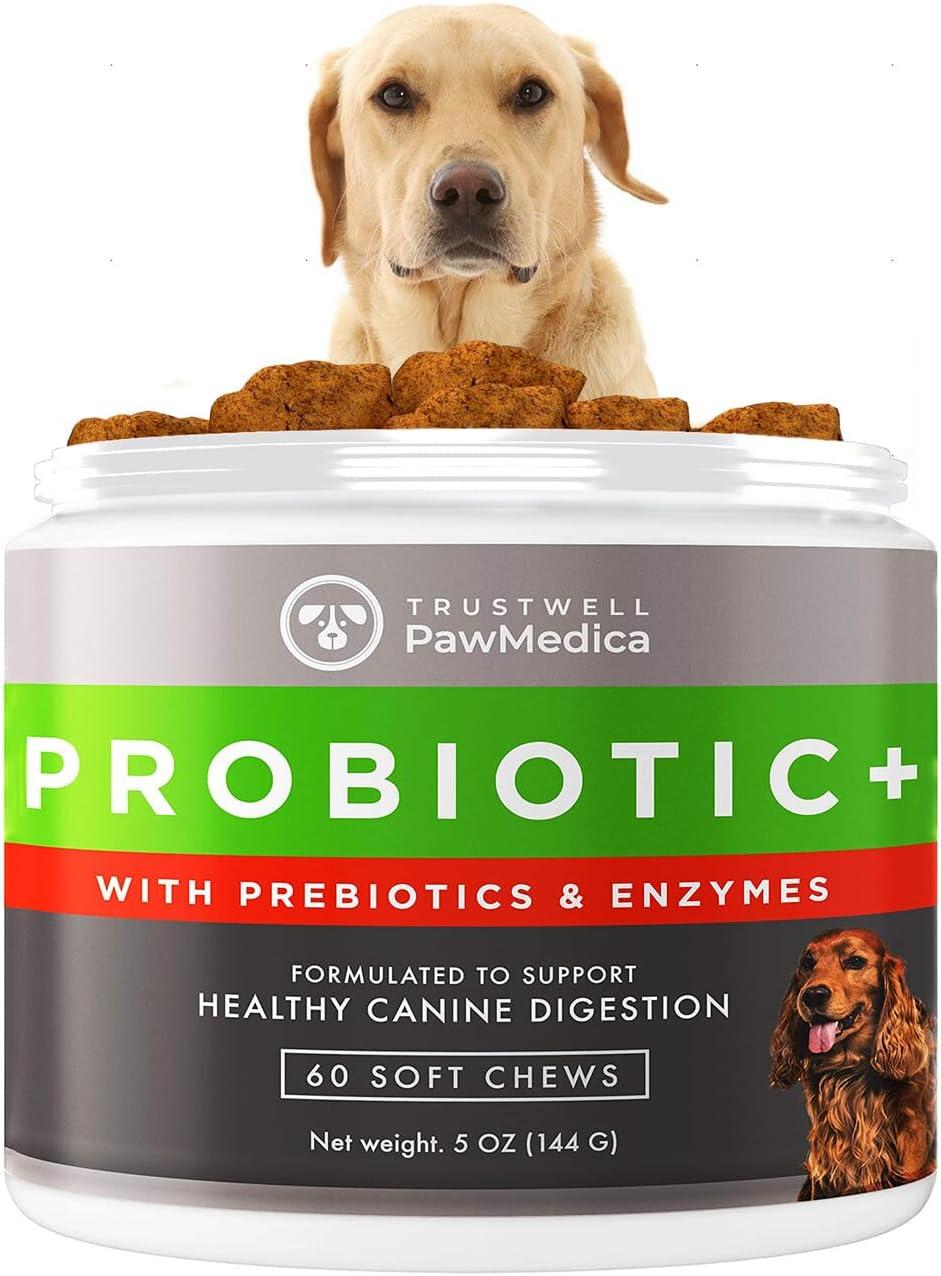 Probiotic Skin Boost: Surprising Wellness Insight