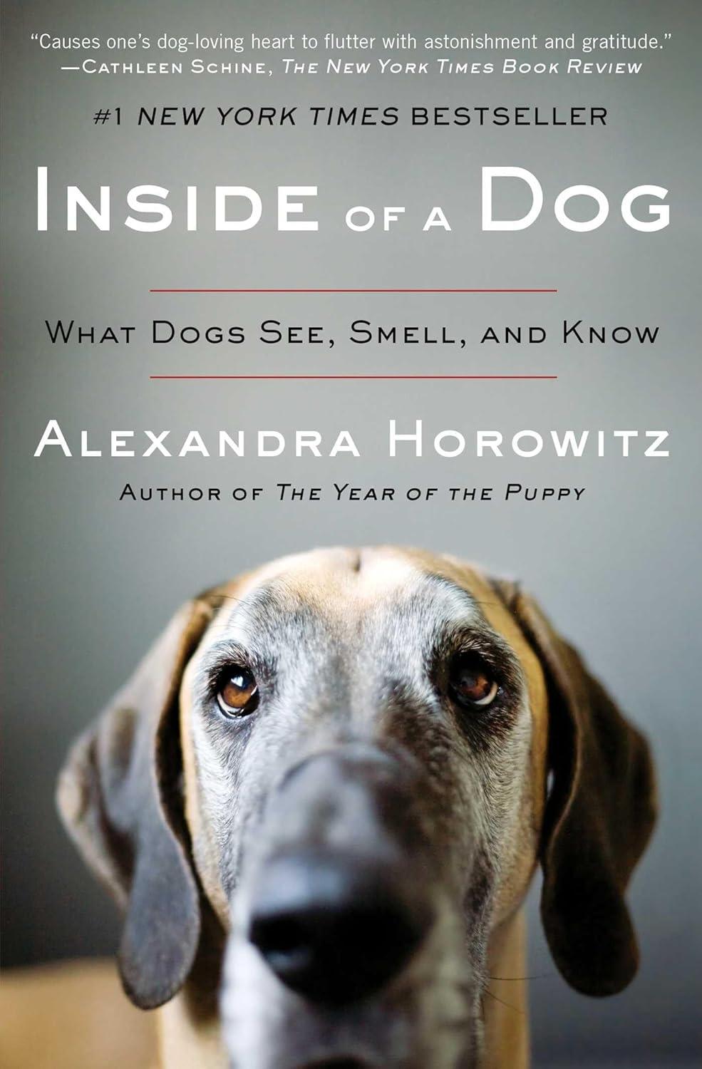 Surprising Insights into Dog Cognition: How Canines Perceive the World (or at Least a Lot of It)