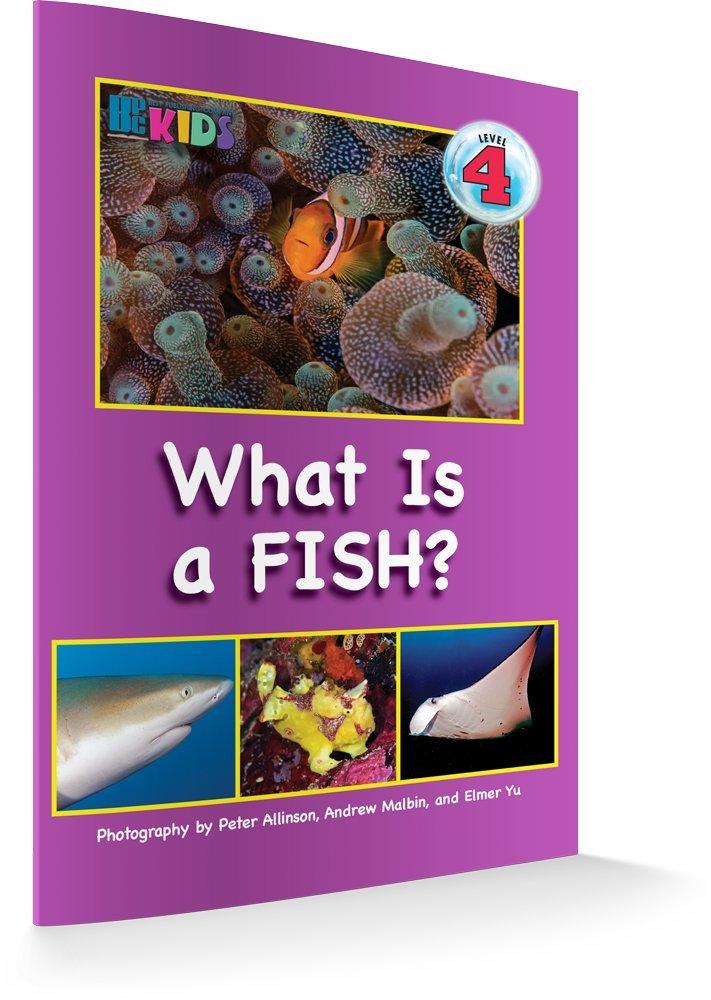 Surprising Fish Lure Use Case: Tested for Freshwater, Saltwater, and Angler Success