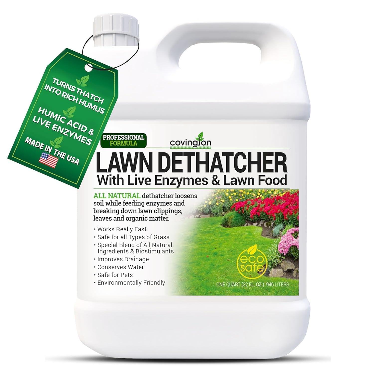 Surprising Comparison: Liquid vs Electric Dethatcher for Eco-Friendly Lawn Care