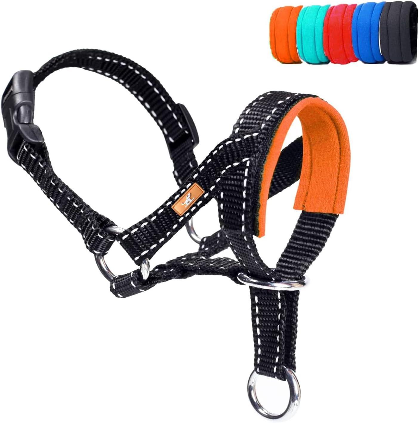 Surprising Insight: Why This Head Collar Might Surprise You