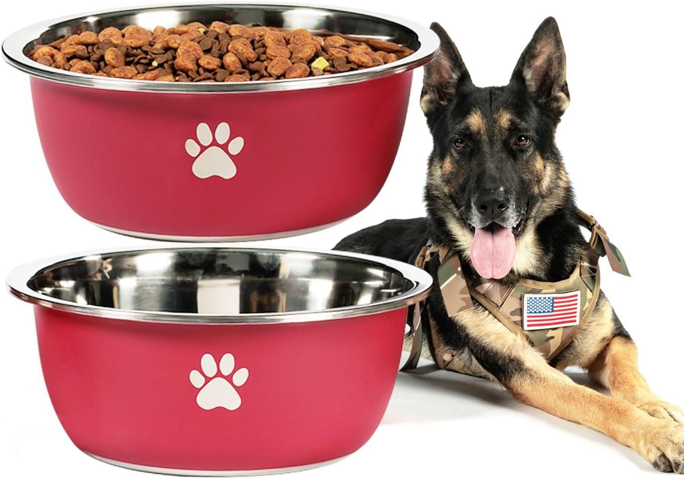German Shepherd Accessories Showdown: Tested for Safety and Style