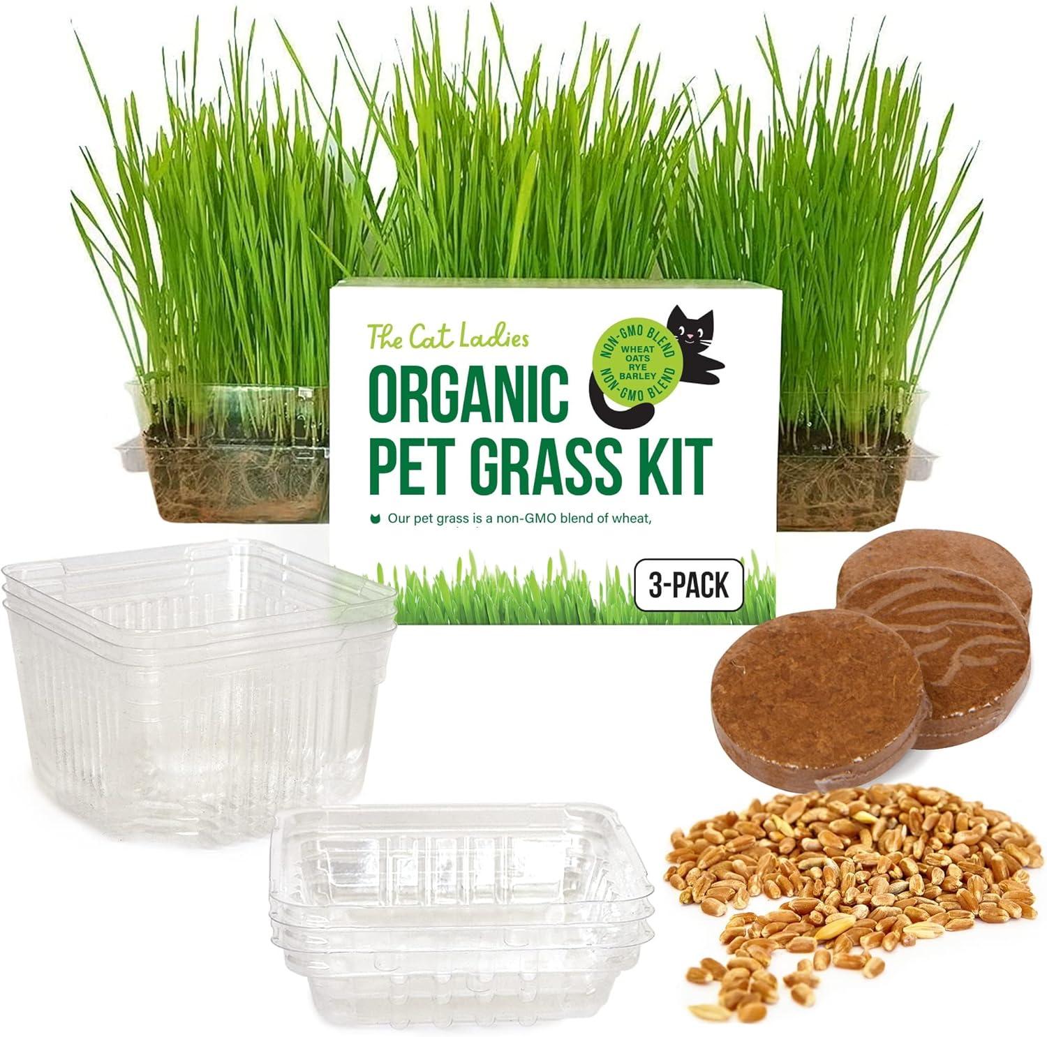 Organic Cat Grass Testing Showdown: Surprising Cat Owners vs. 3-Pak Convenience