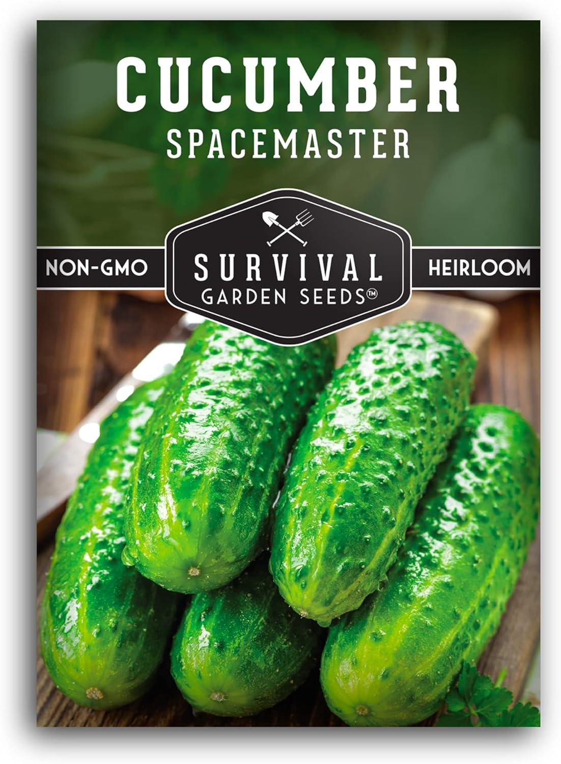 Surprising Space-Saving Cucumber Test... Grow Dual-Purpose Delight!