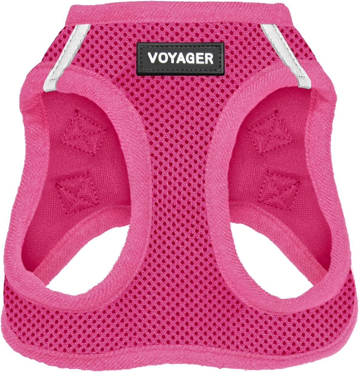 PetSafe vs Doggykingdom: Surprising Dog Harness Use Case for Tugging-Free Walks