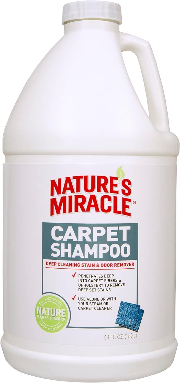 Pet Stain Showdown: Tested Eco-Friendly & Powerful Solutions