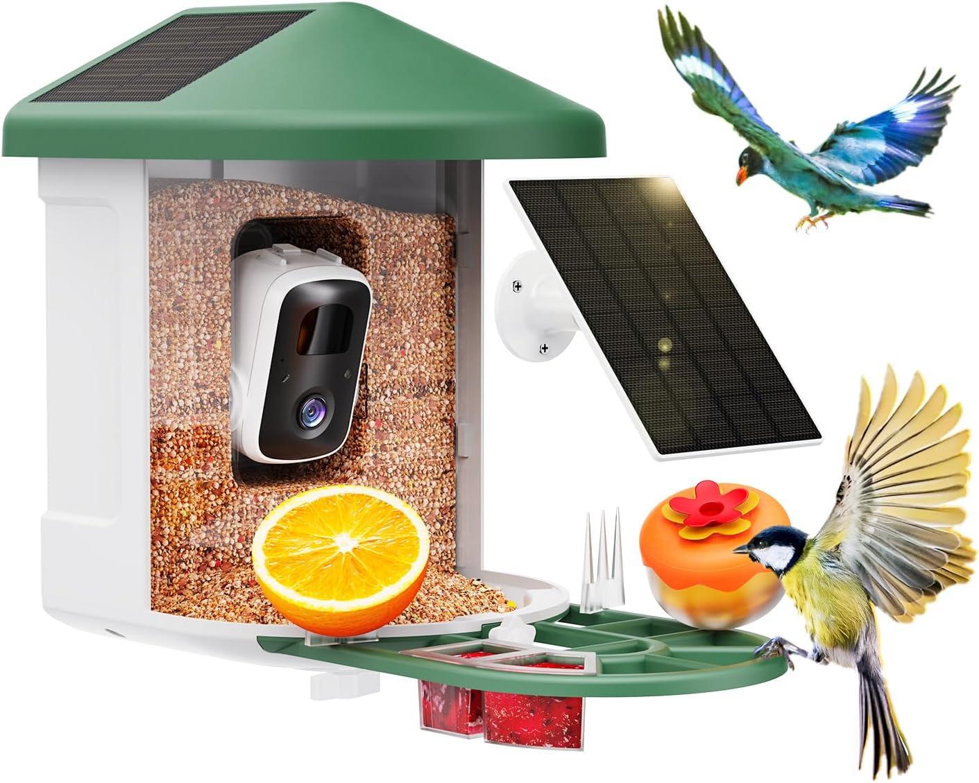 Summer Birdwatching Showdown: Solar Feeder AI vs. 2K Cam - Tested?