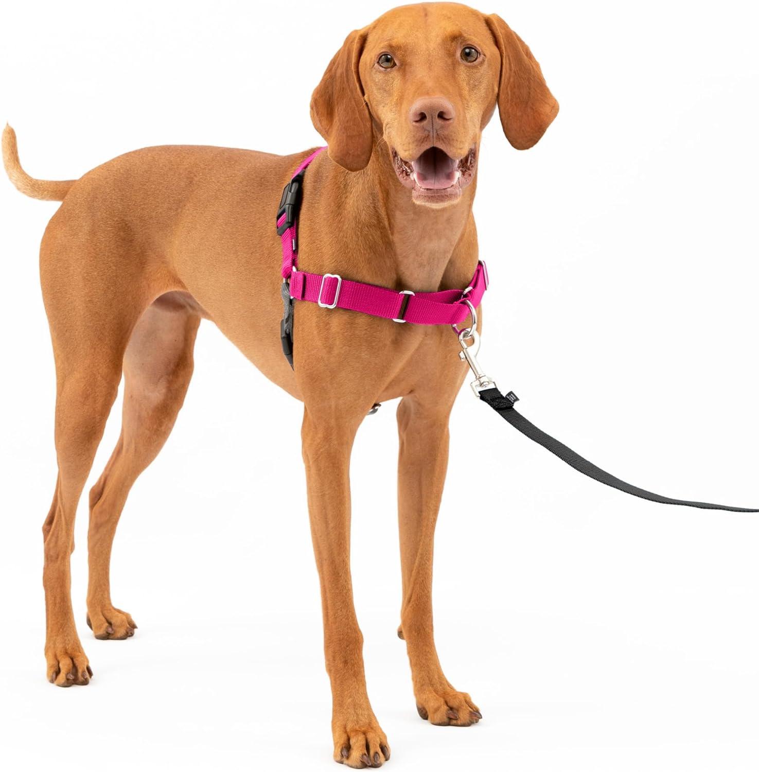 PetSafe vs PHOEPET: Surprising Price vs. Effectiveness for No-Pull Dog Harnesses