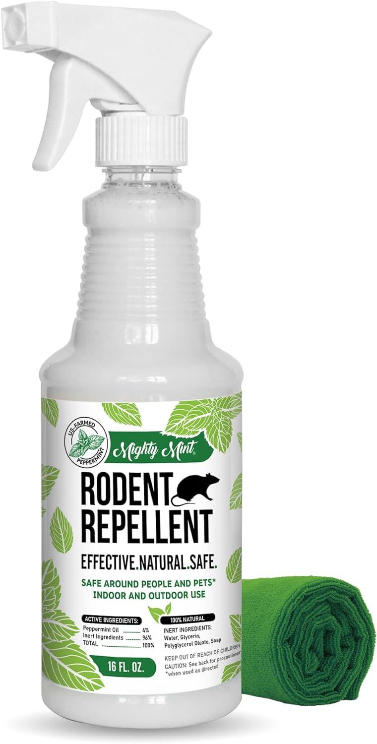 Surprising Natural Mouse Repellent Showdown: Tested for Chemical-Free, Family-Safe Protection