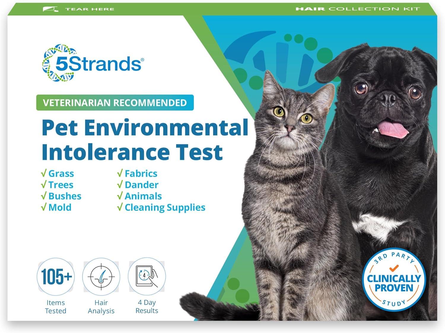 Pet Environmental Intolerance Test: 5Strands at Home Kit Tested for Accuracy
Emotional Support Pizza Plushies: Surprising Cuddle Ideas for Teens & Friends