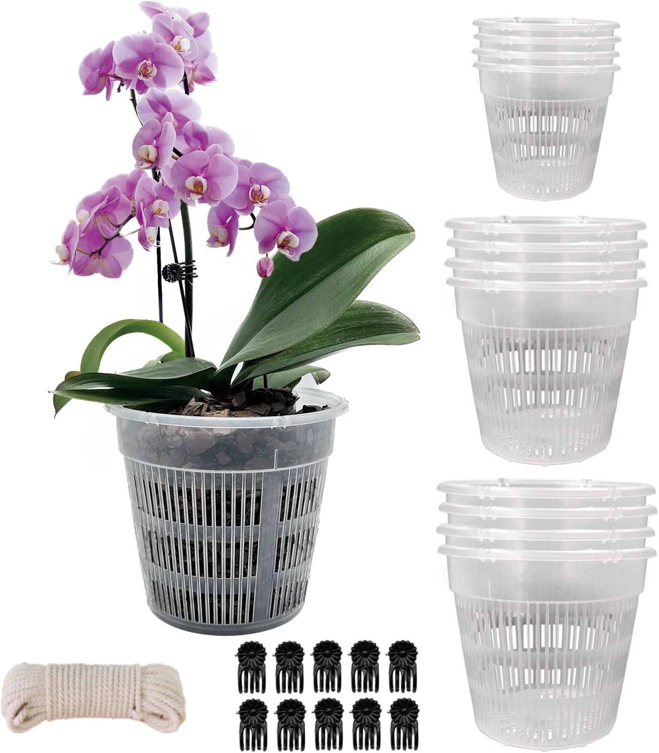 Orchid Pots Showdown: 12-Pack, Size Variety, Clear, Slotted for Repotting