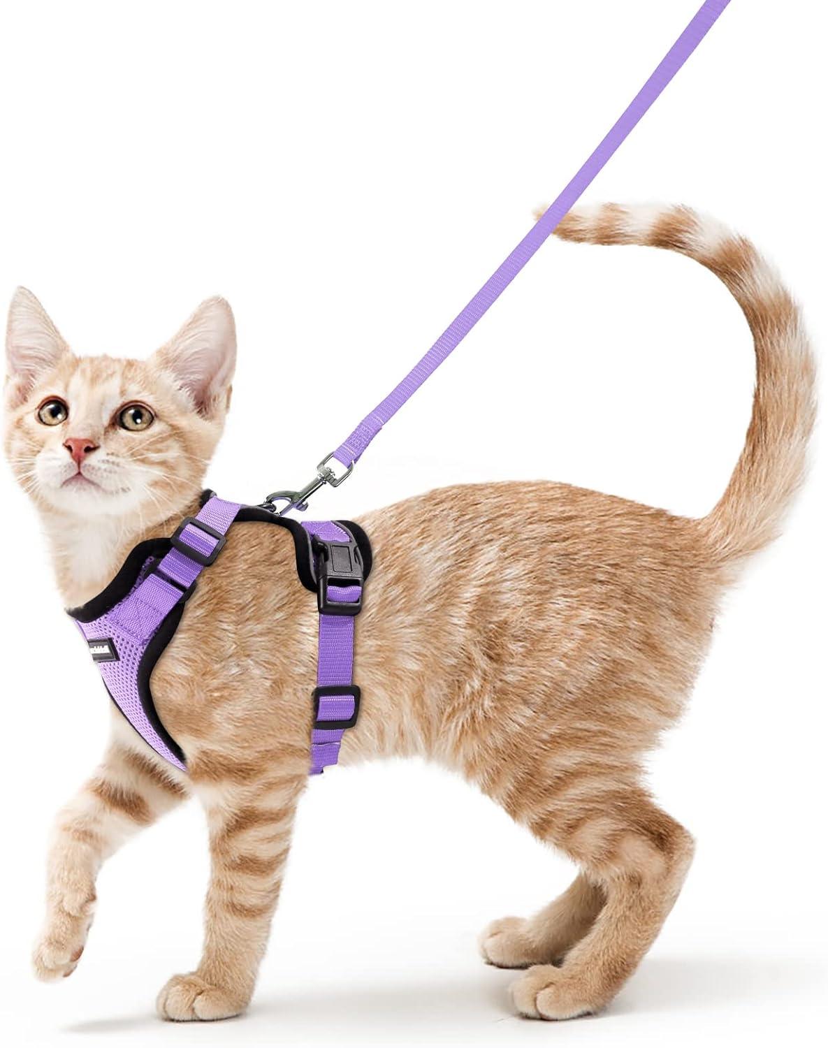 Showdown: Breathable Reflective Strips & Escape-Proof Design in Cat Harnesses for Trendy Walks