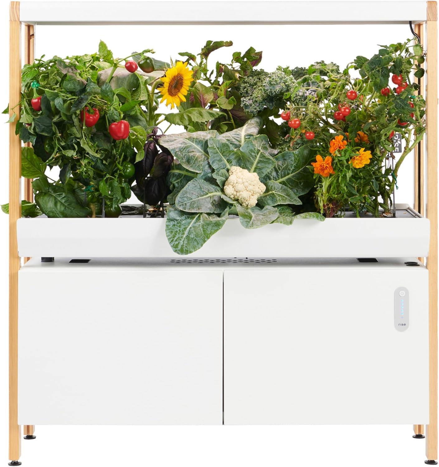 Rise Gardens vs. Traditional Hydroponics: App Control Reveal…