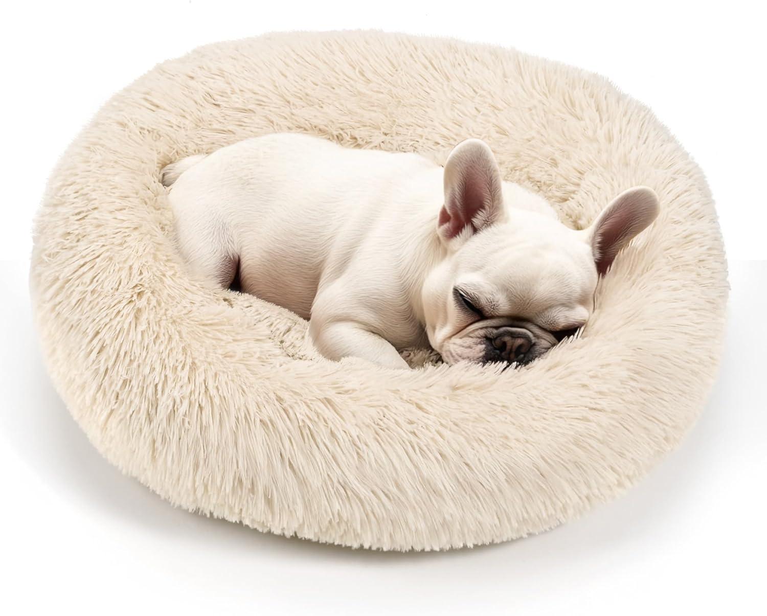 Soaring Comfort Showdown: Cooling Blanket Versus plush Dog Bed... You’ll Be Amazed!