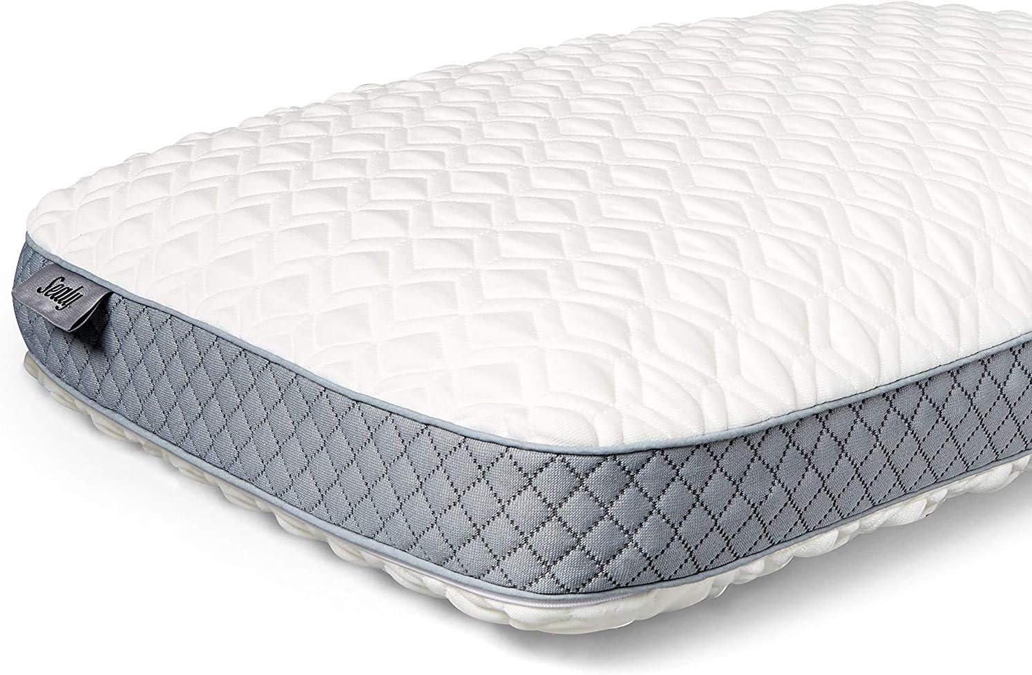 SleepMax Versus Sealy: A Tested Showdown for Ultimate Comfort