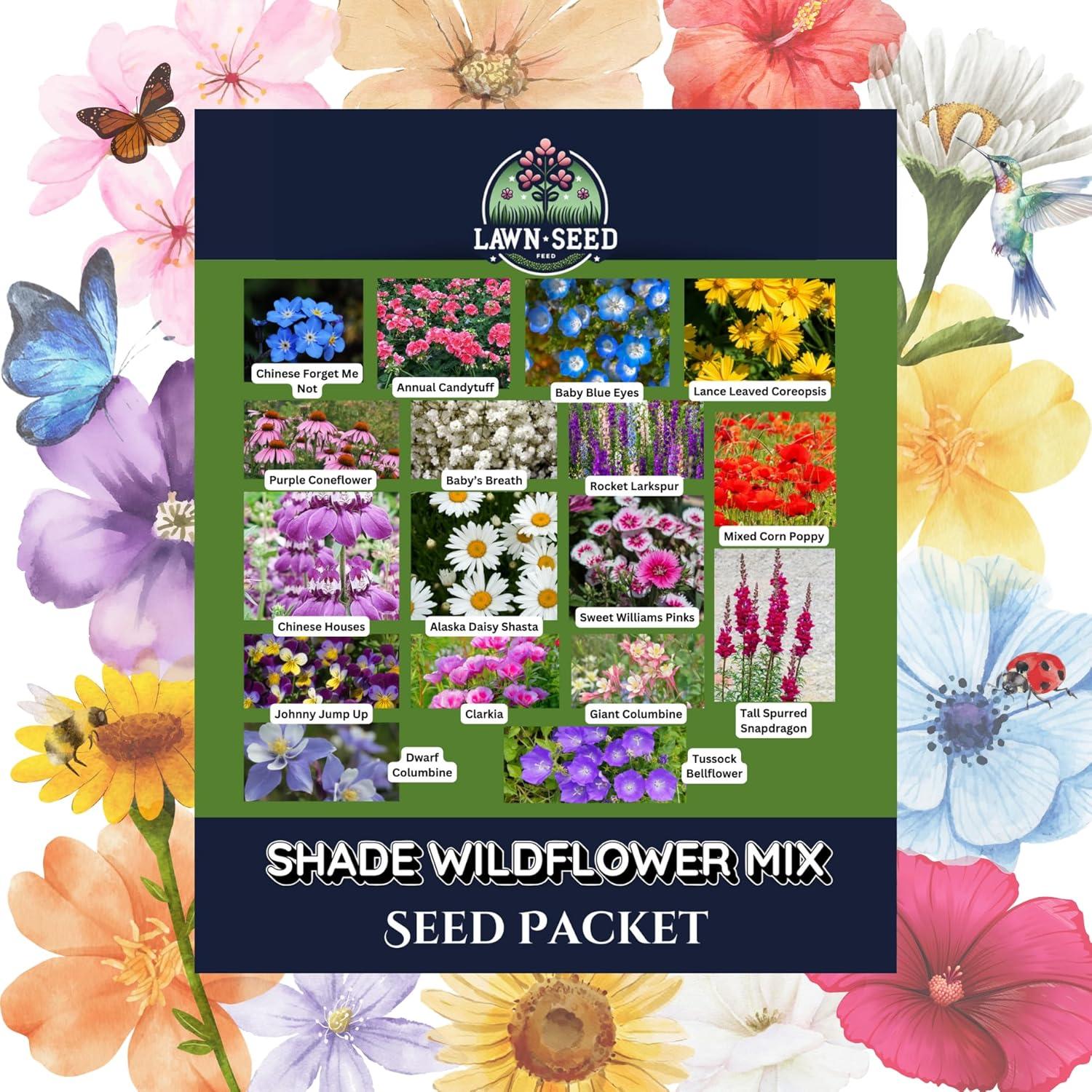 Seed Packet Showdown: Tested for Shade, Deer-Resistant, & Hummingbird Appeal-Surprising Perennial Color