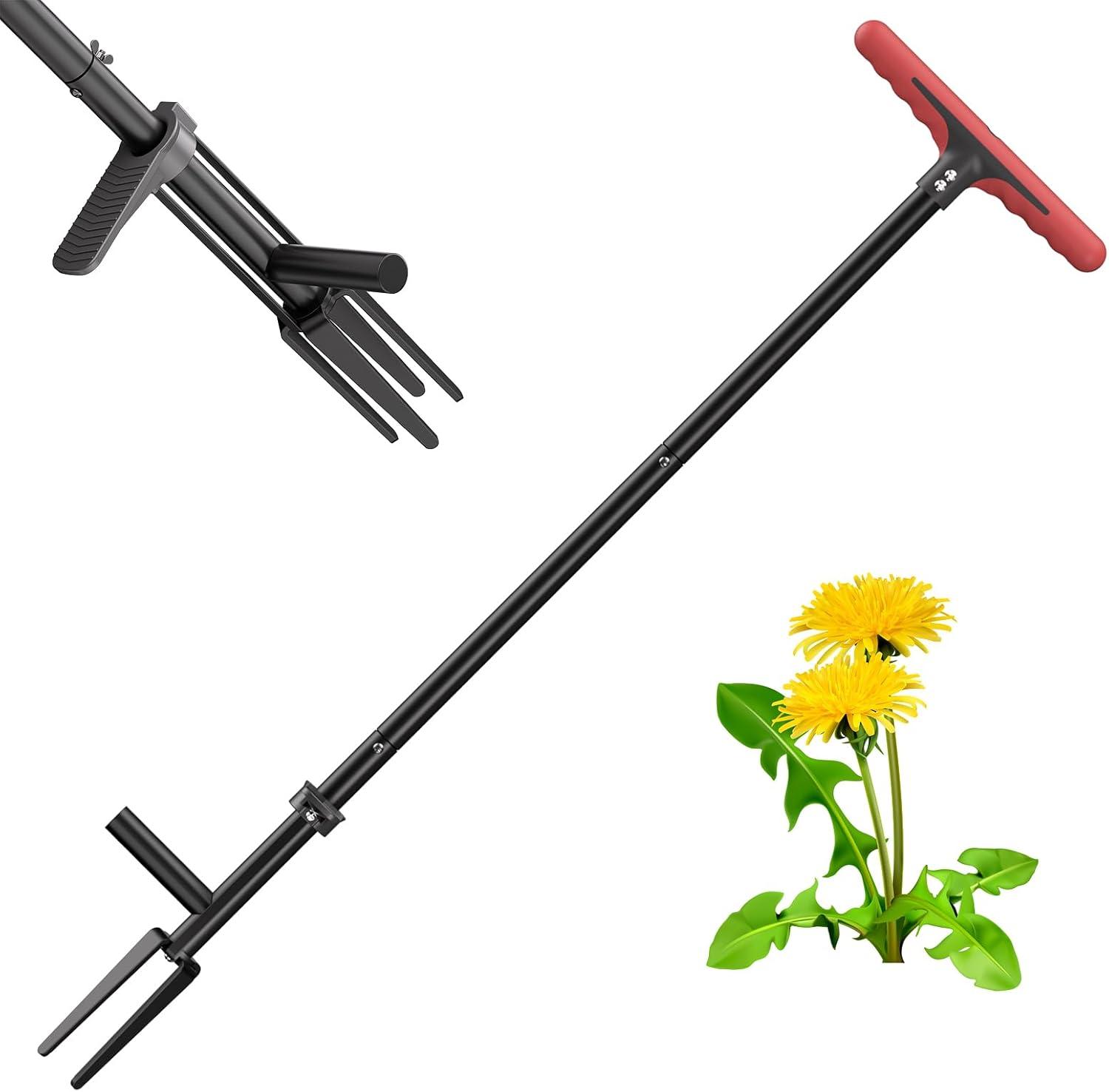 FLORA GUARD Showdown: 4-Claw Weeder Tested - No Bending, Dandelion Removal