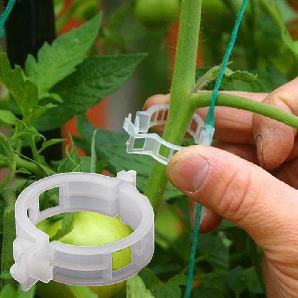 100PCS Tomato Clips Tested: Multi-Use Grafting vs. Stakes for Upright Growth