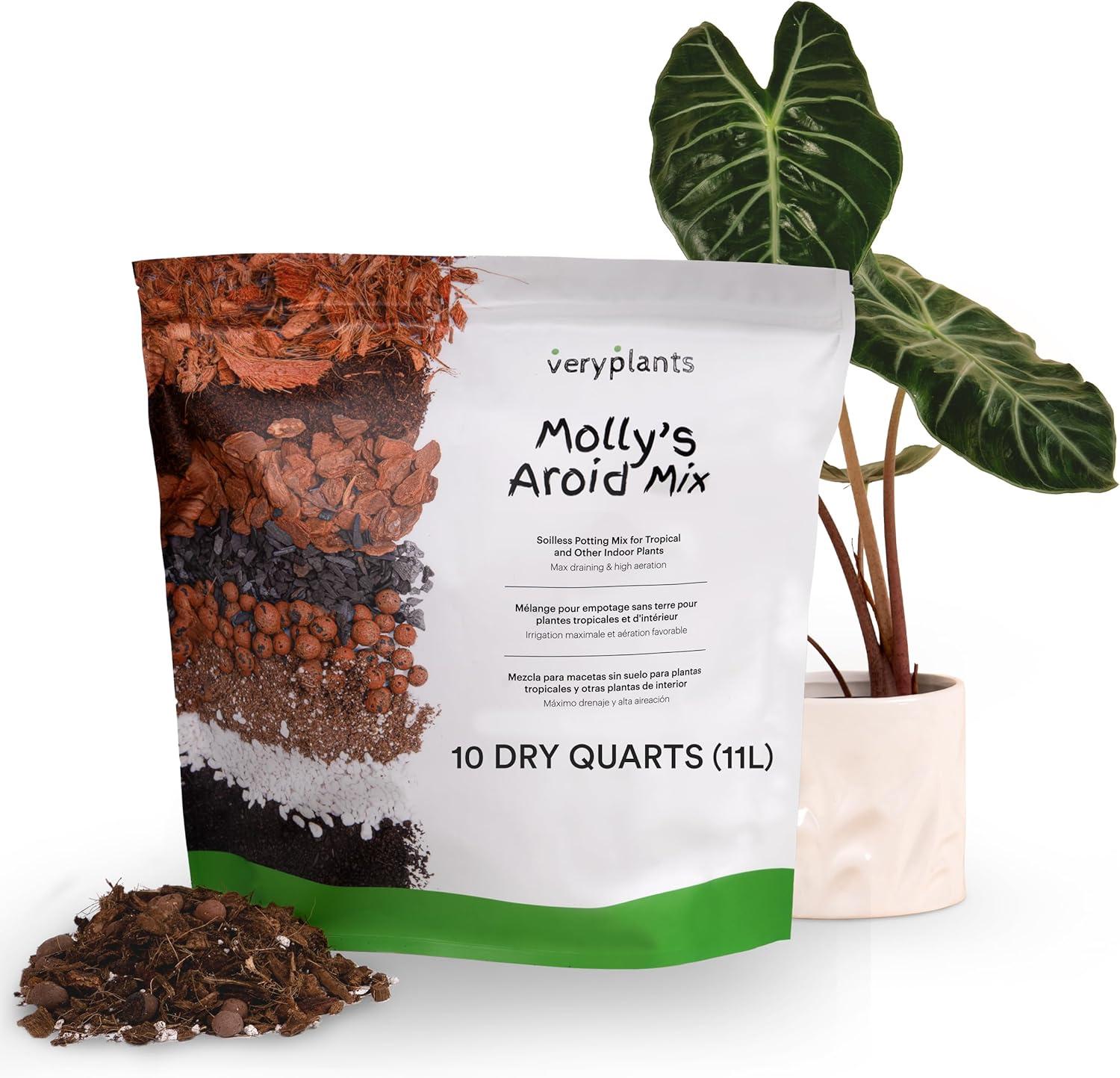 Showdown: Molly's Aroid Mix Chunky… vs. Soil with Mycorrhizae Tested for Indoor Plants