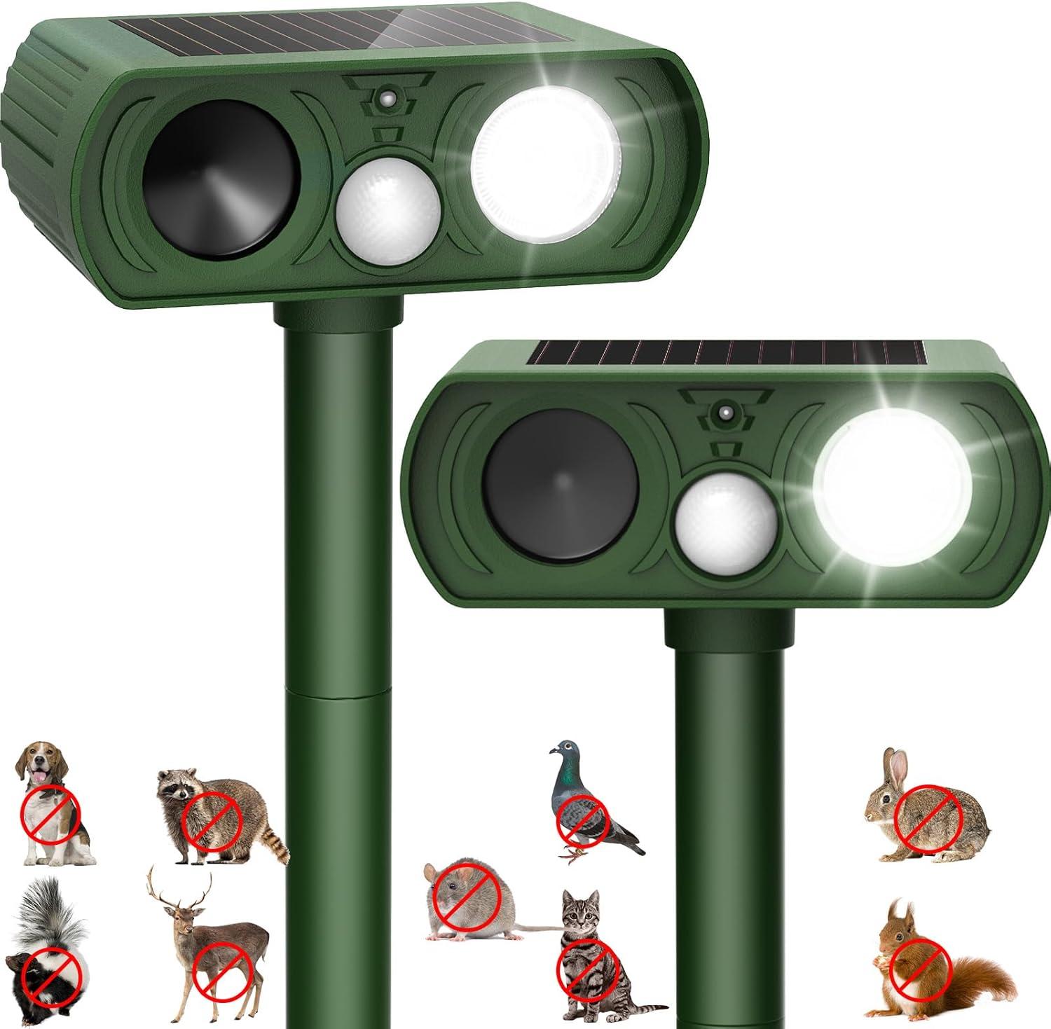Solar-Powered & Waterproof: Surprising Yard Safety Insight