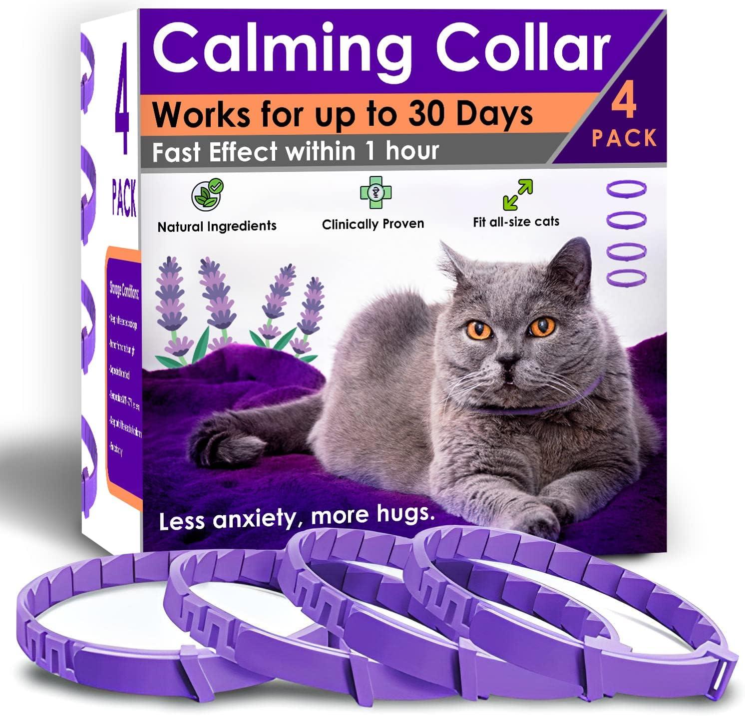 Cats Cushy as Pheromone Collar Tested?