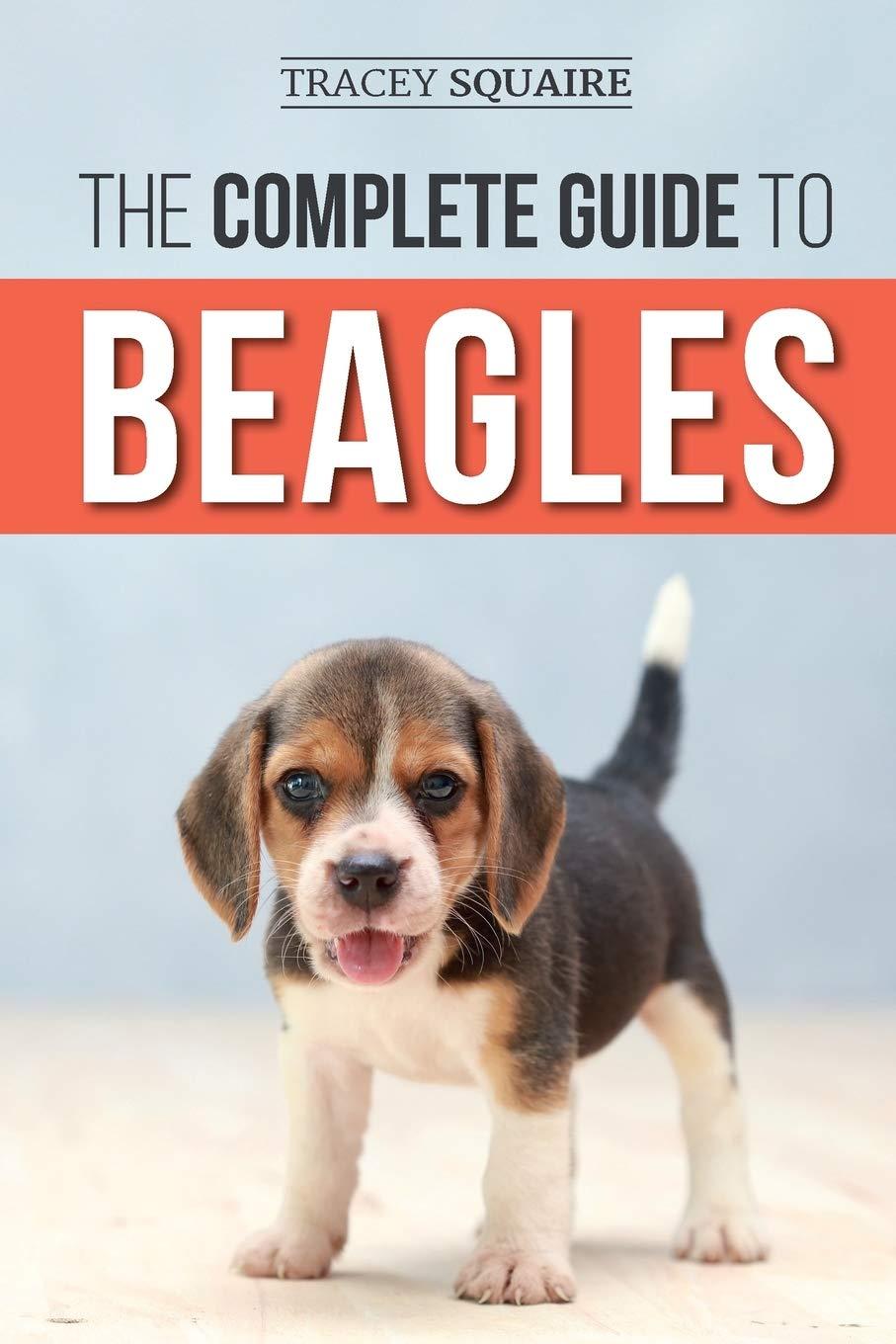 Surprising Pet Supplies: Waterproof Beagle Stickers Tested for 2024