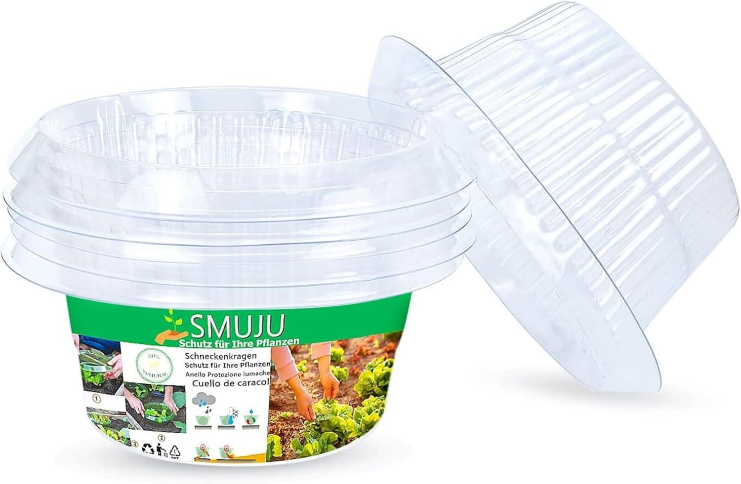 6-Piece Transparent Cloches vs. Slug Collars: Tested for Snail-Proof Spring Gardens
