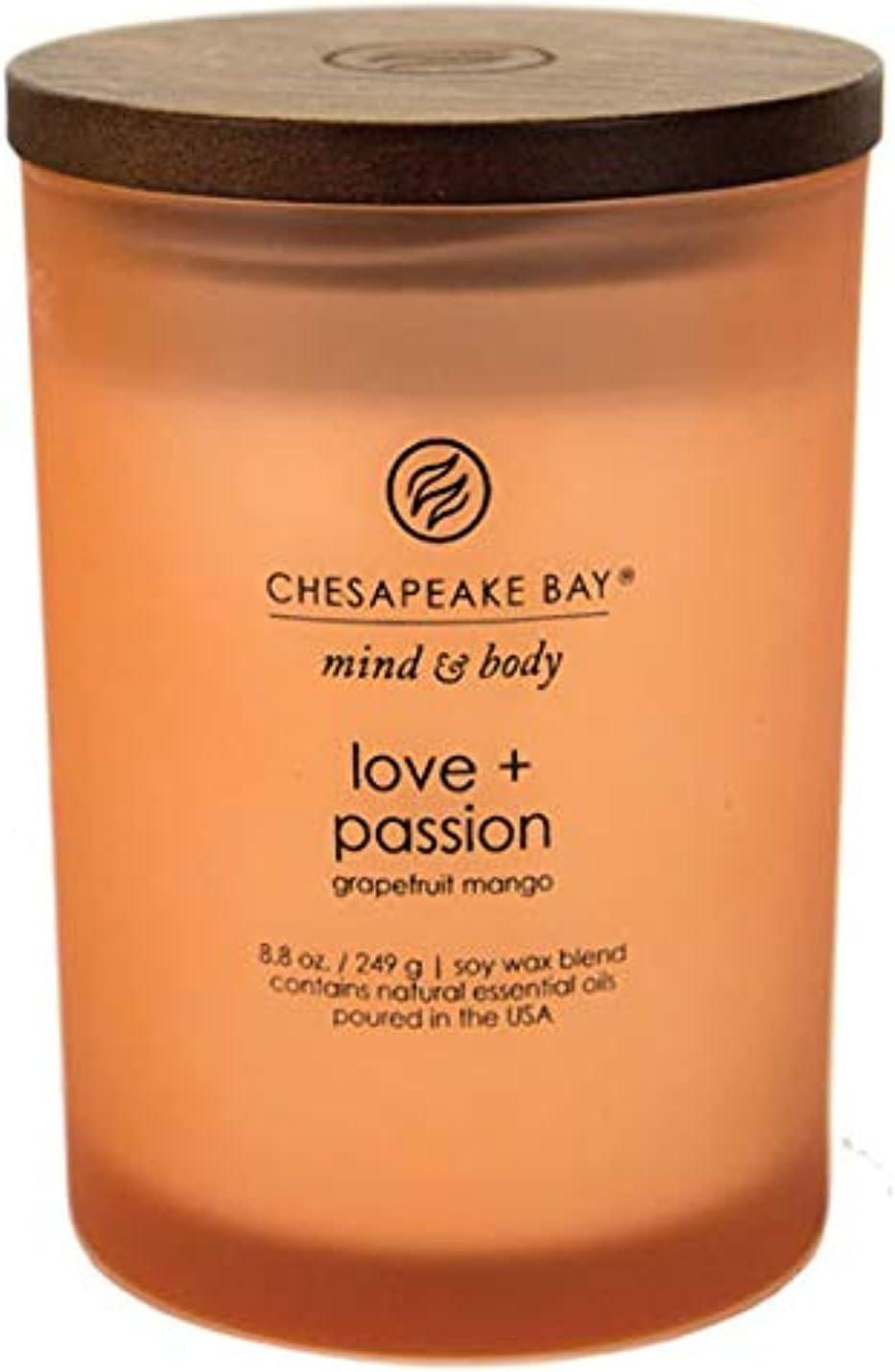 Chesapeake Bay Candles vs. Scotts Lawn Sweeper: Tested for Scent, Style, & Power