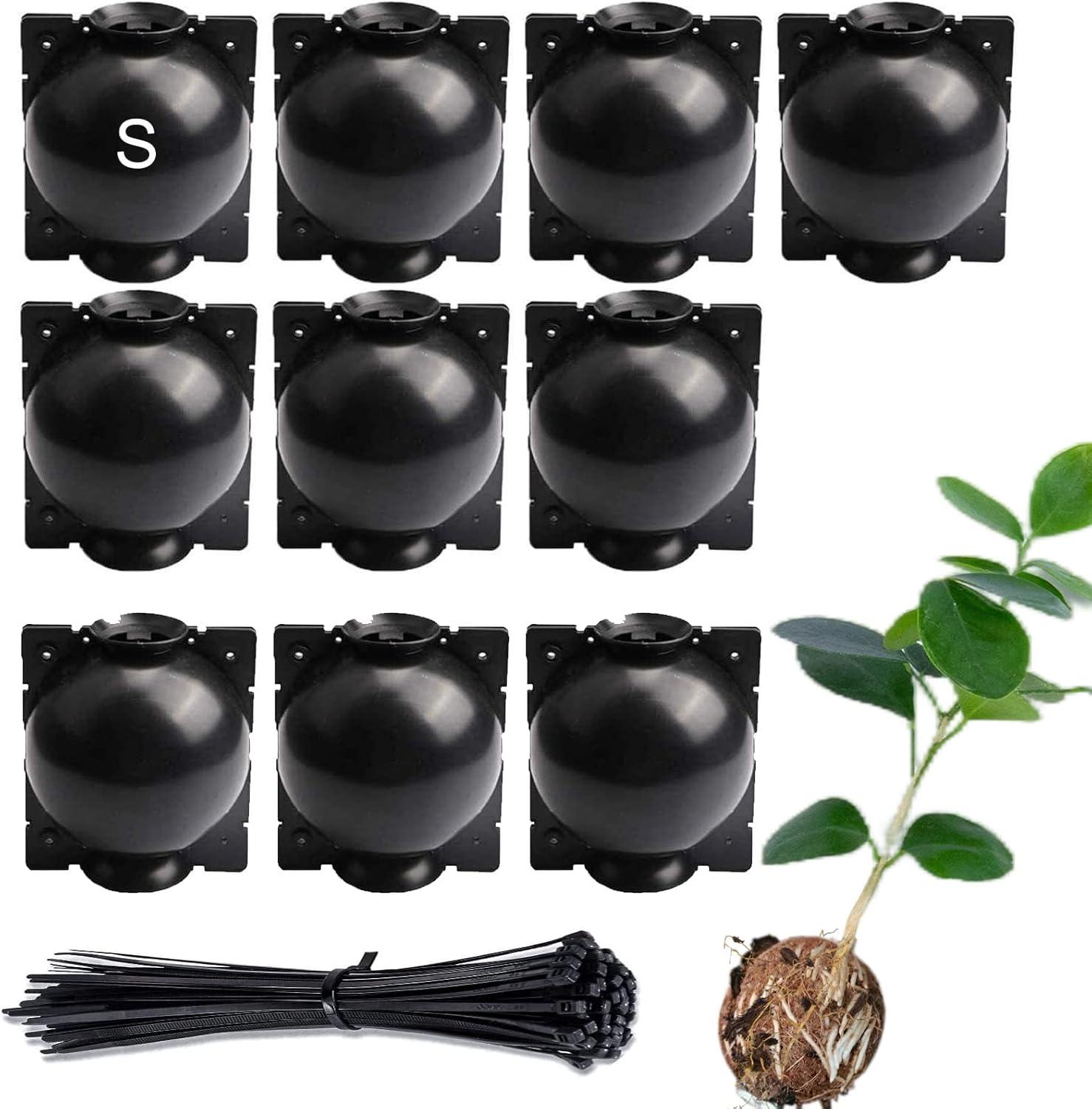 Trellis Clips' Wedge vs. Root Boxes' Air Layering: Tested for Garden Planting Efficiency