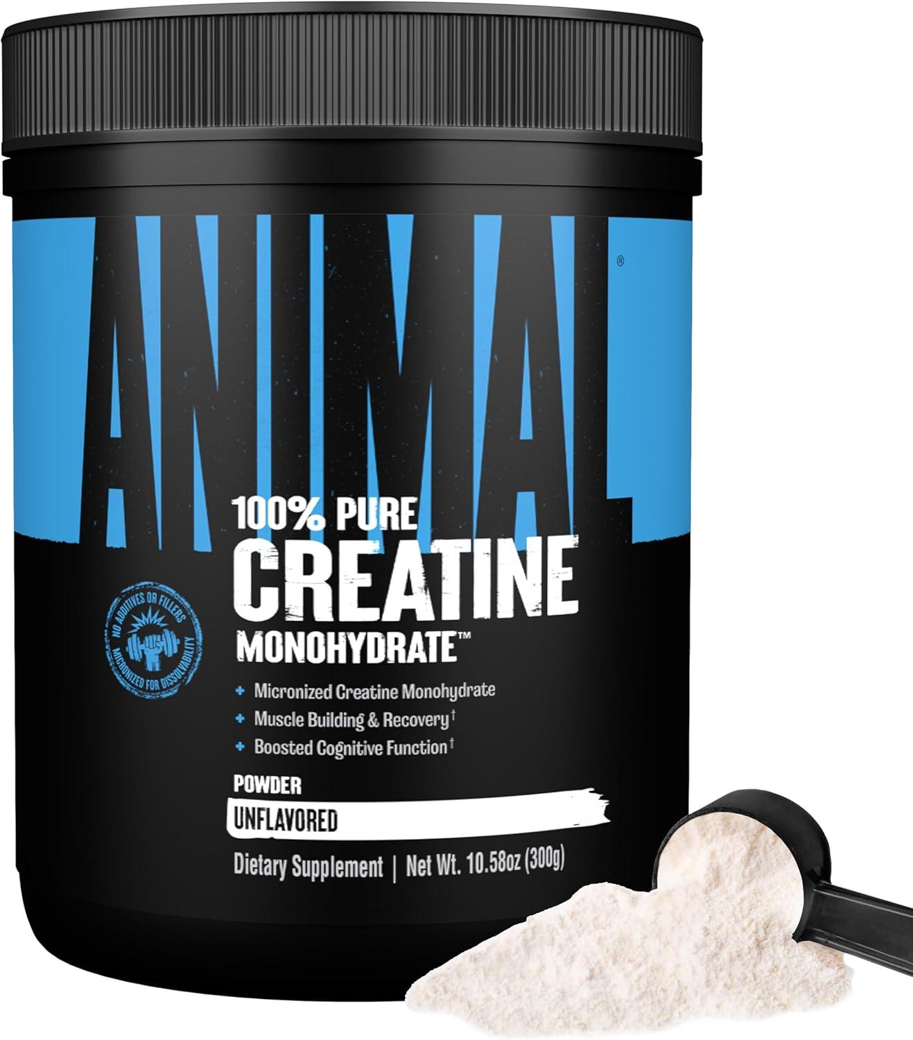 Chew vs. Powder: Tested Creatine for On-the-Go Gains