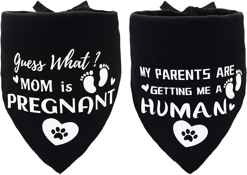 Winter Comfort Showdown: Tested Heating Pads vs. Safe Pet Accessories