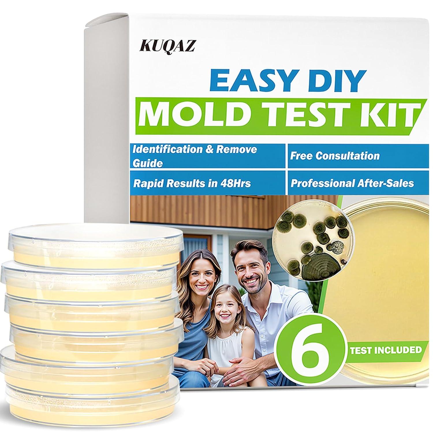 Mold Test Showdown: DIY Kits vs. Ozone Machines for Home Safety