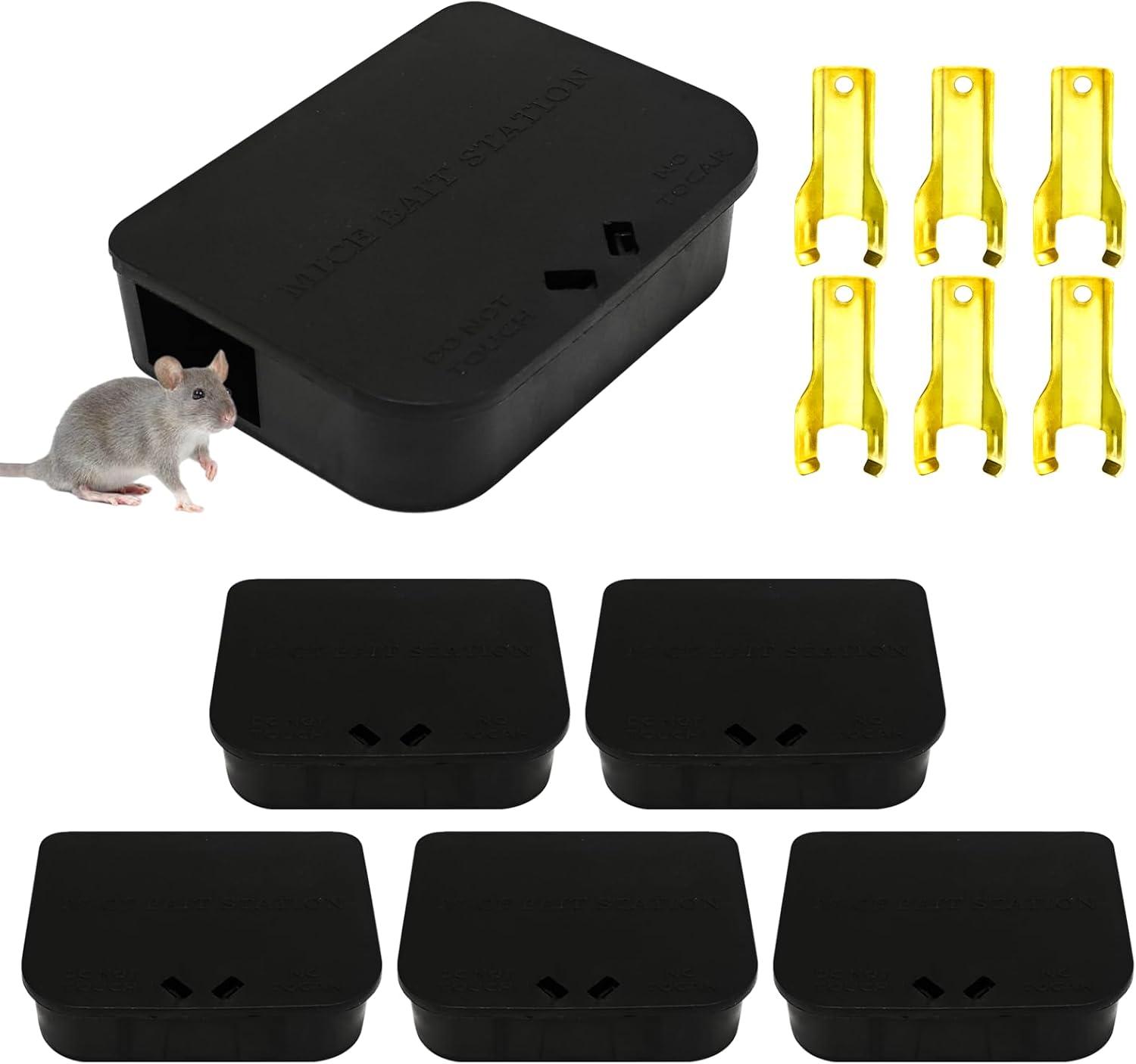 Showdown: DoomBox vs Mouse Station-Safe Containment Tested?
